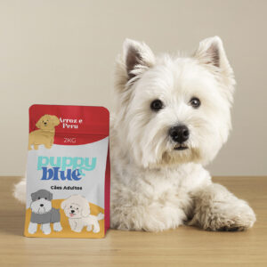 Puppy Blue | Identidade Corporativa Completa